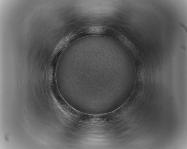 X0000103240736200808281440