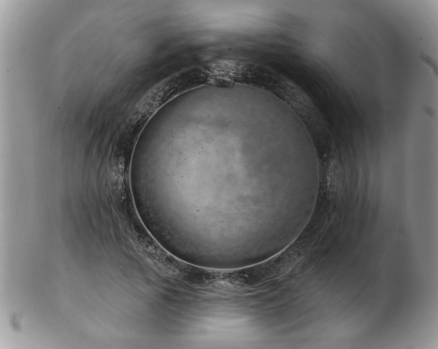 X0000103240737200808281440
