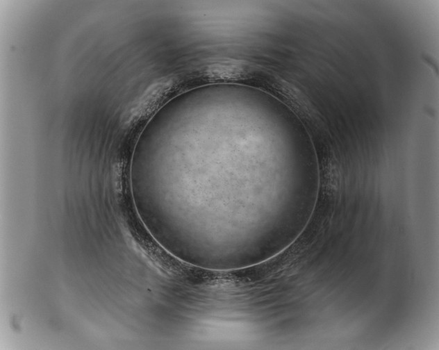 X0000103240738200808281440