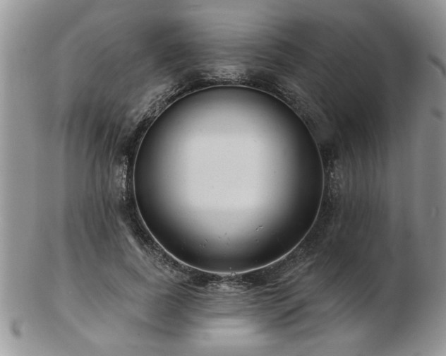 X0000103240739200808281440