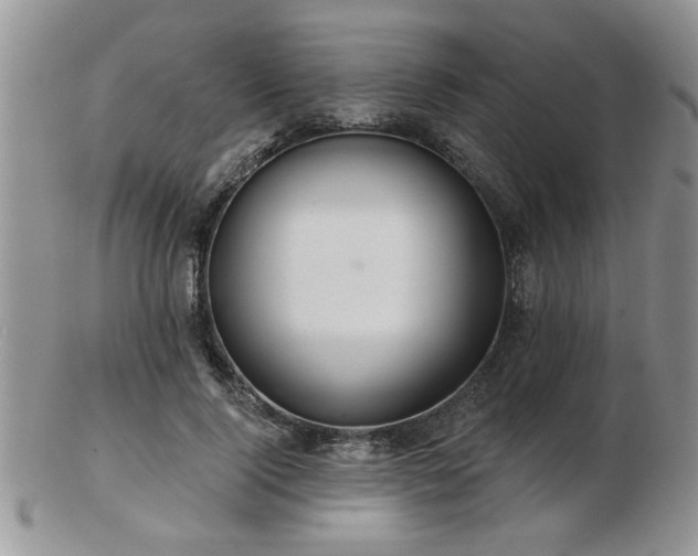X0000103240740200808281440