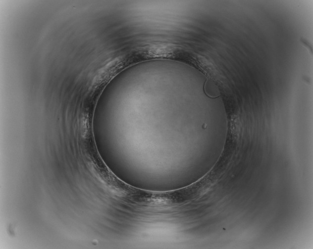 X0000103240741200808281440