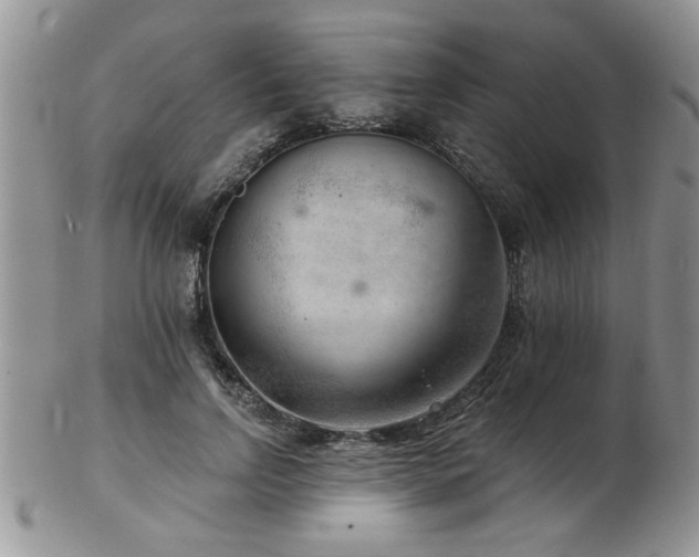 X0000103240742200808281441