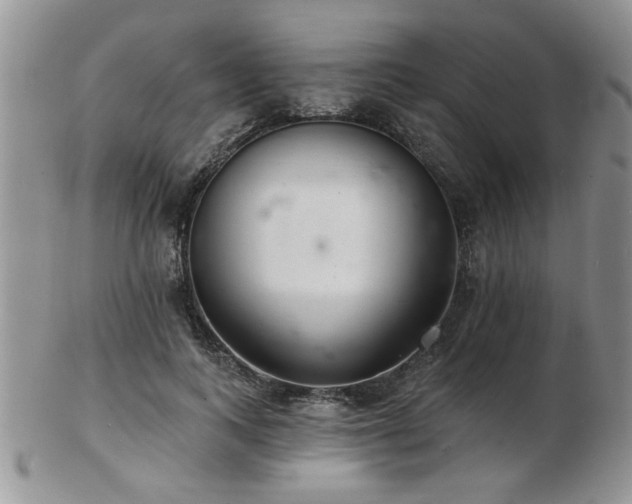 X0000103240743200808281441