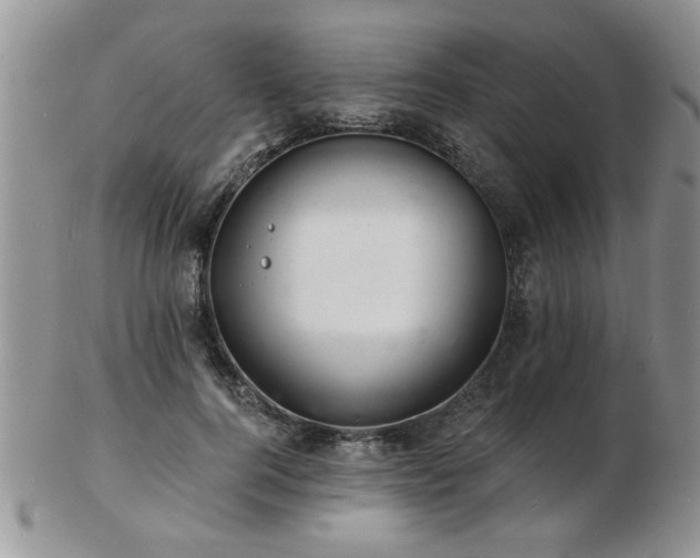 X0000103240744200808281441