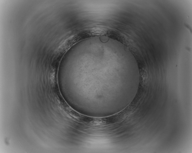 X0000103240745200808281441