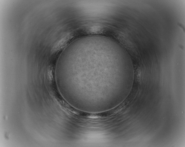 X0000103240746200808281441