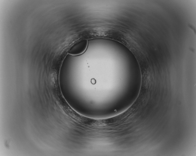 X0000103240747200808281441
