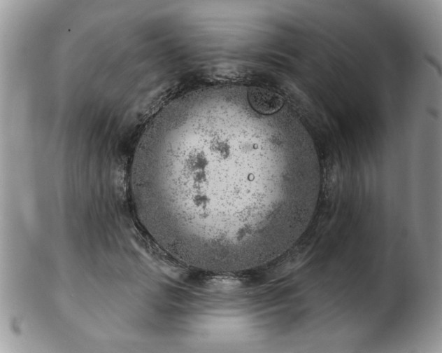 X0000103240749200808281441