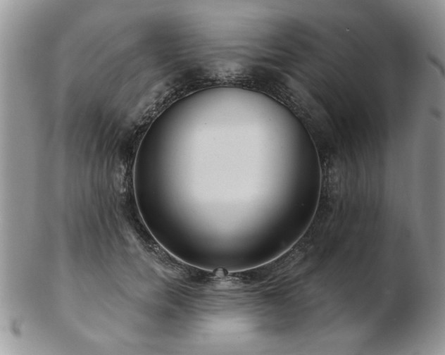 X0000103240750200808281441