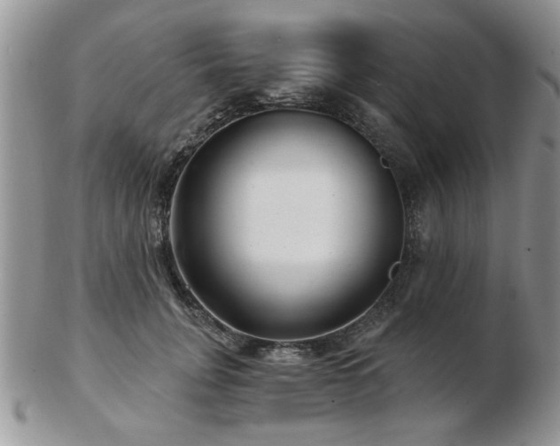X0000103240751200808281441