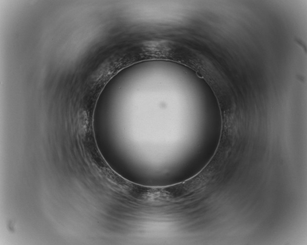 X0000103240752200808281441