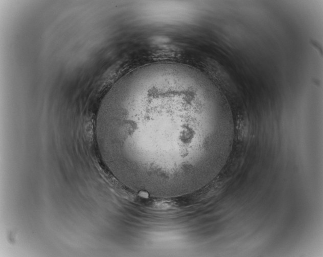 X0000103240753200808281441