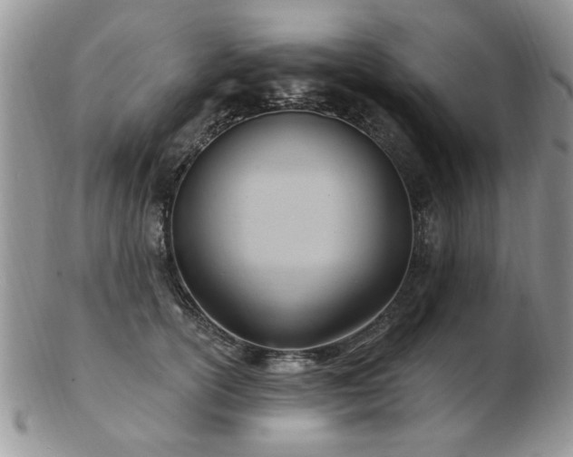 X0000103240754200808281441