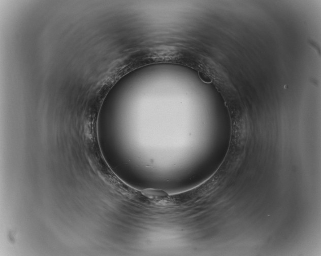 X0000103240755200808281441