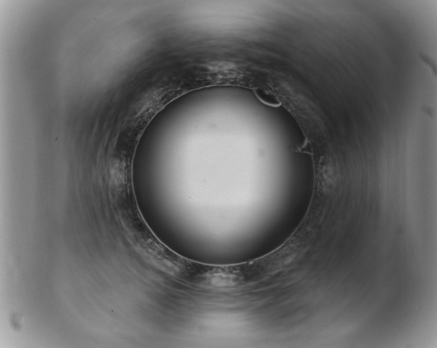 X0000103240756200808281441