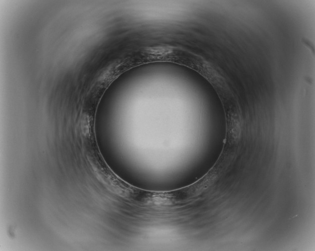 X0000103240758200808281441