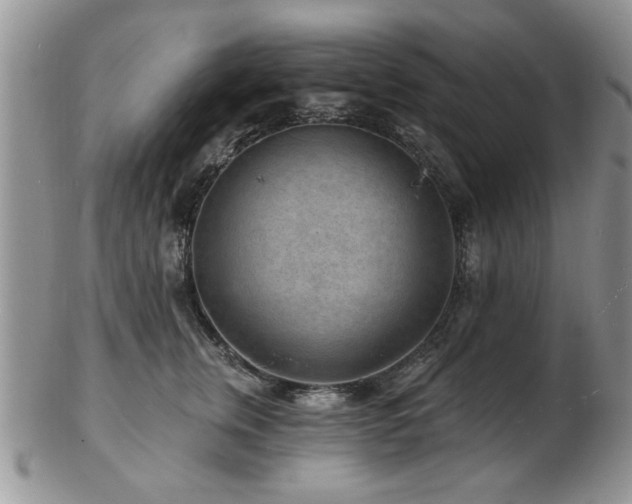 X0000103240759200808281441