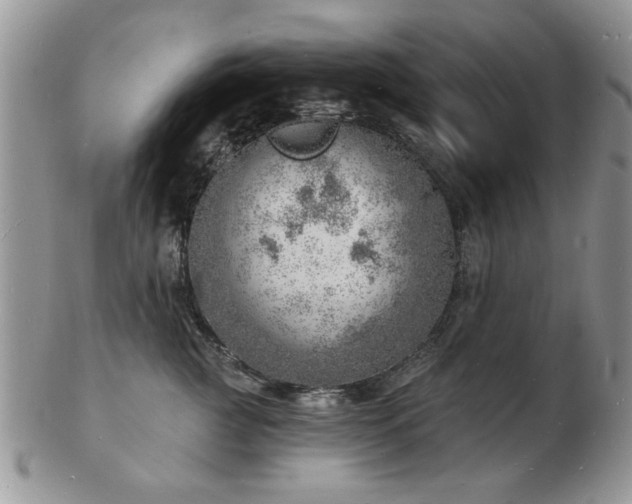 X0000103240761200808281441