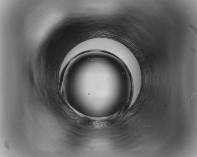 X0000103240762200808281441