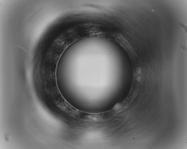 X0000103240763200808281441