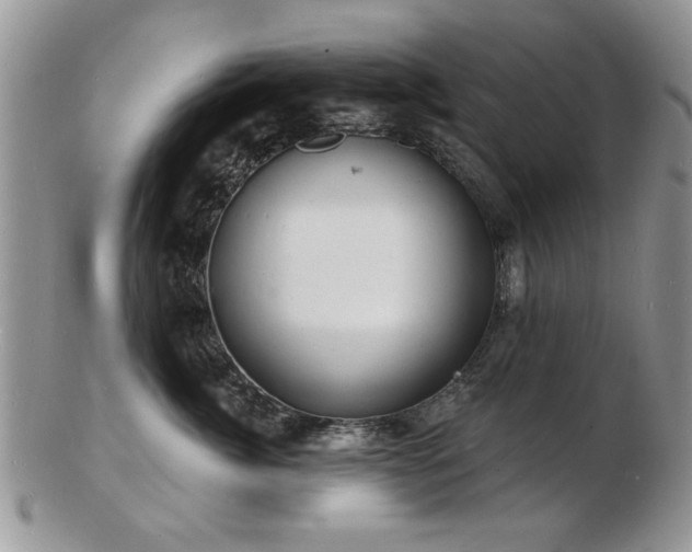 X0000103240764200808281441