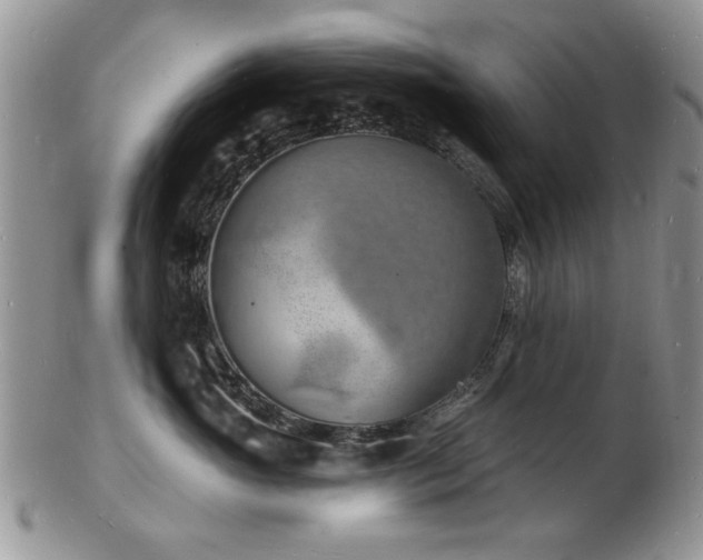 X0000103240765200808281441