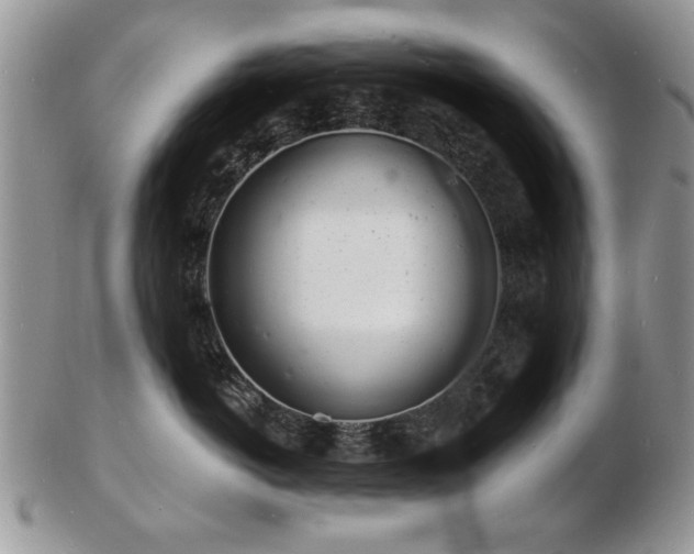 X0000103240766200808281441