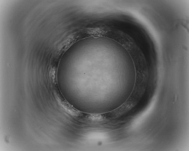 X0000103240767200808281441