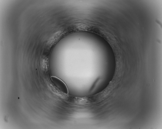 X0000103240768200808281441