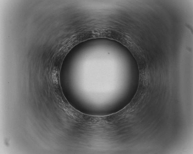 X0000103240770200808281440
