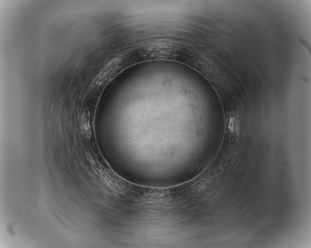 X0000103240771200808281440