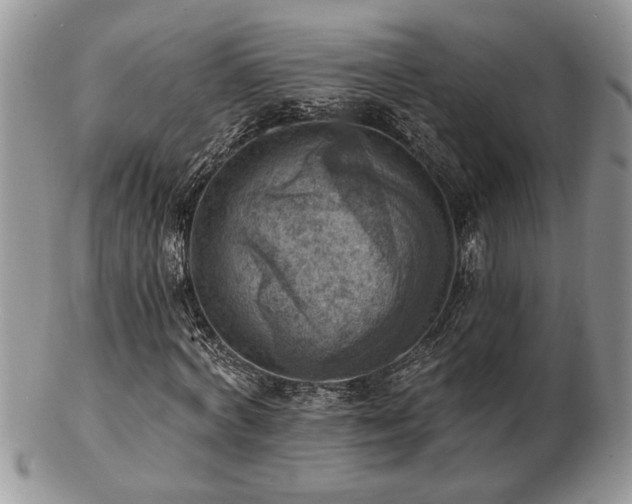 X0000103240772200808281440