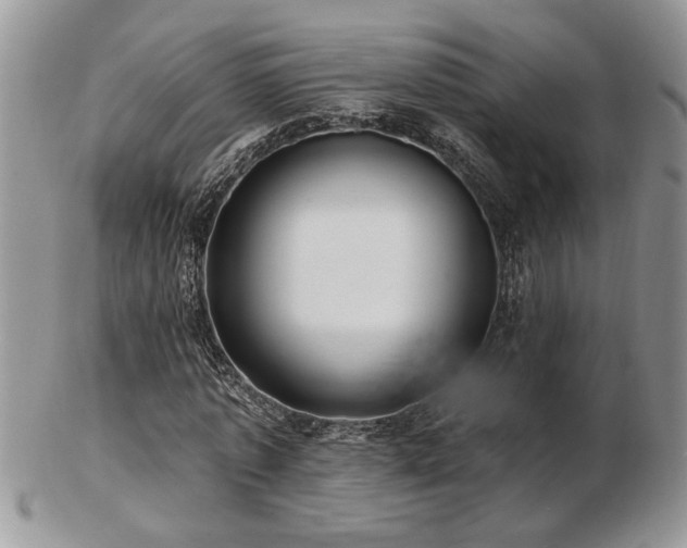 X0000103240773200808281440