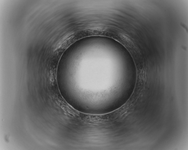X0000103240774200808281440