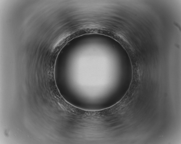 X0000103240775200808281440