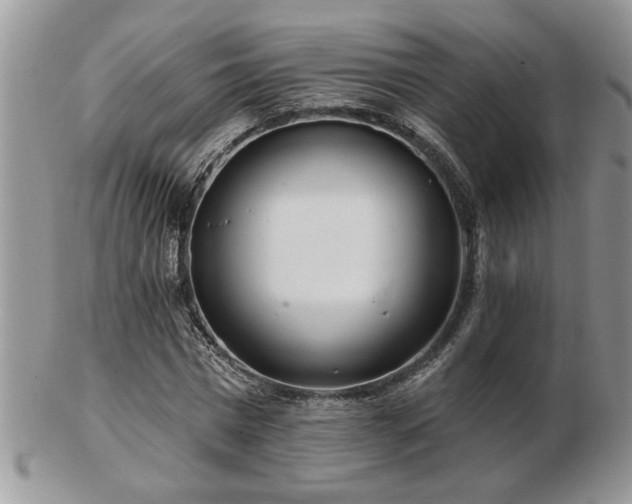 X0000103240777200808281440