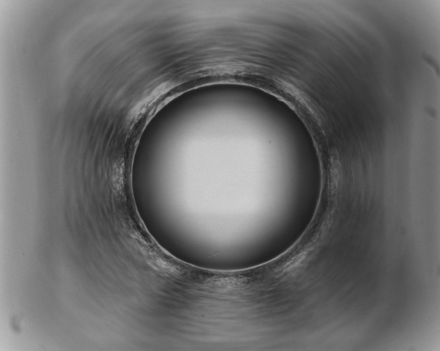 X0000103240778200808281440
