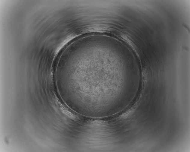 X0000103240779200808281440