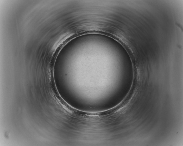 X0000103240782200808281440