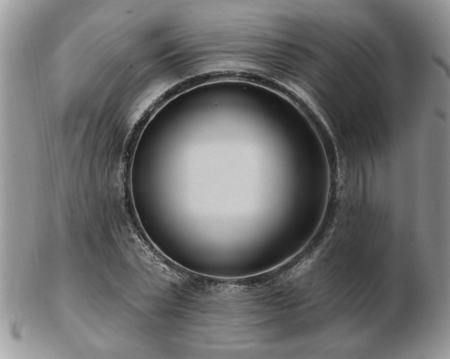 X0000103240783200808281440