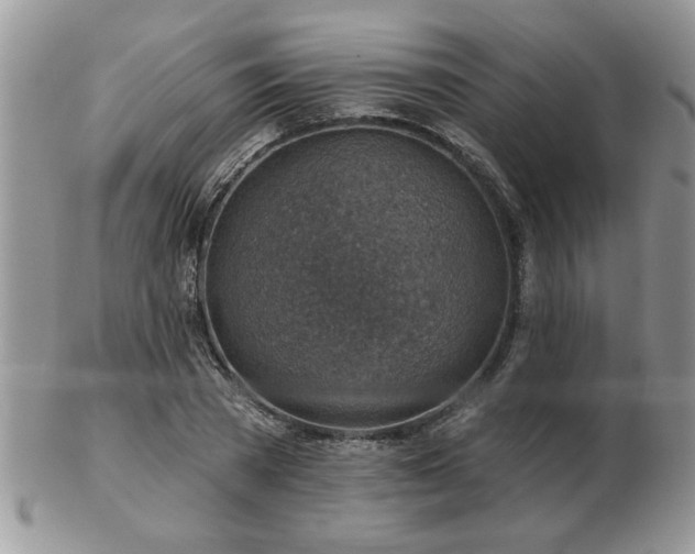 X0000103240785200808281440