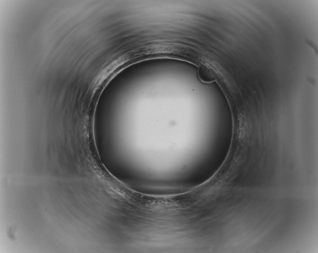 X0000103240786200808281440