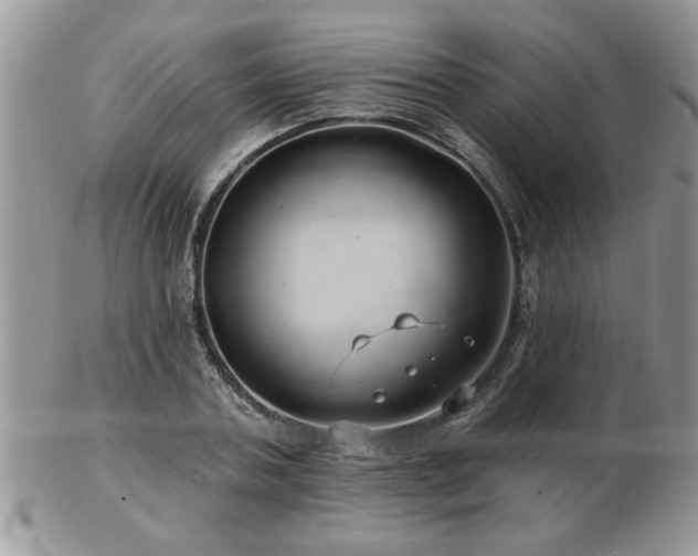 X0000103240787200808281440