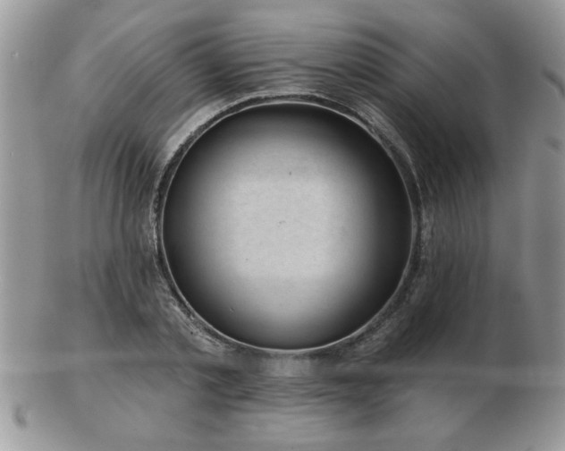 X0000103240789200808281440