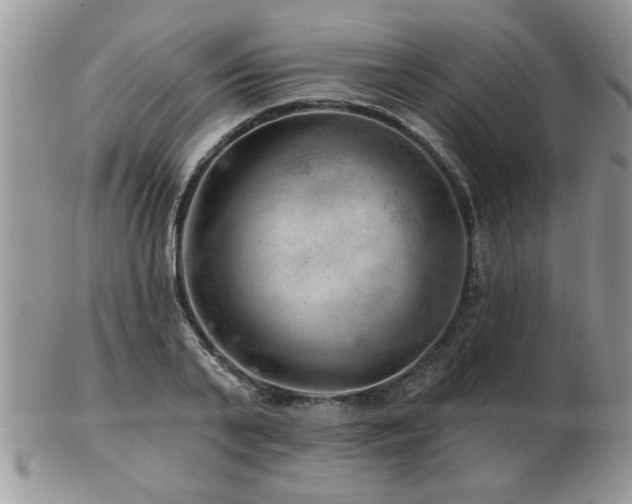 X0000103240791200808281440