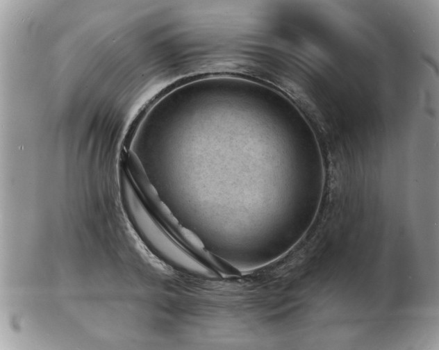 X0000103240792200808281440