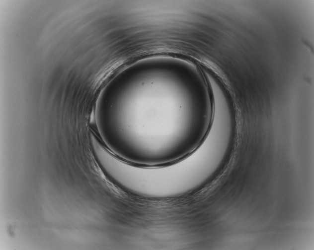 X0000103240793200808281440