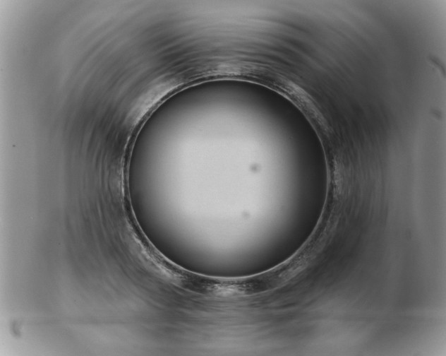 X0000103240794200808281440