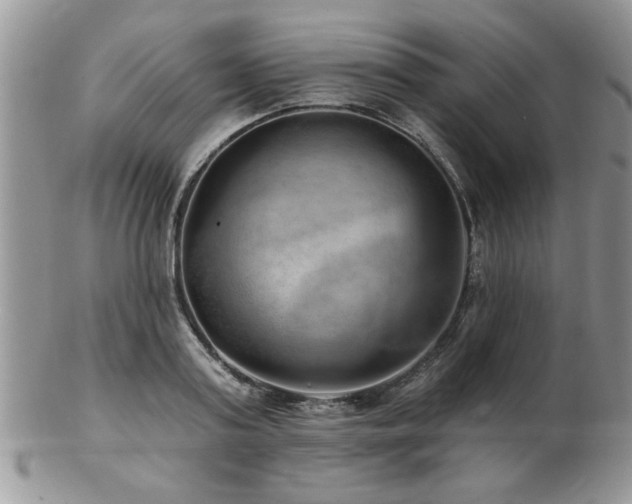 X0000103240795200808281440